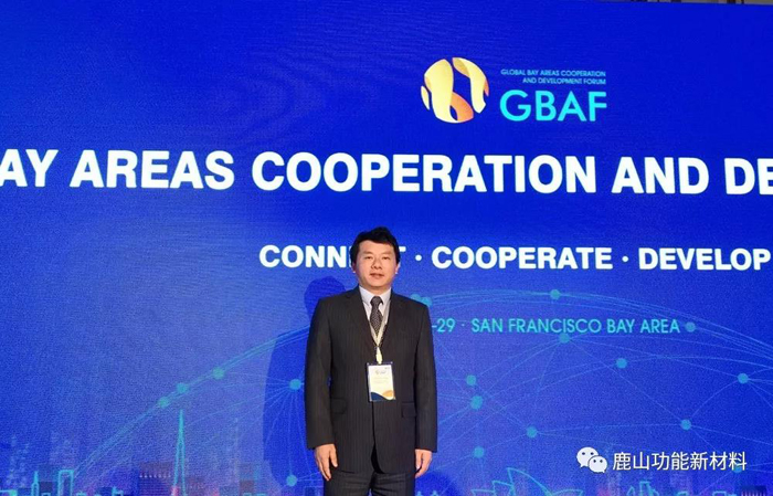 謀協(xié)作，議共贏 | 世界灣區(qū)合作發(fā)展論壇開鑼